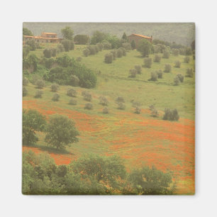 Imán Europa, Italia, Toscana, Val D'Orcia, Monte