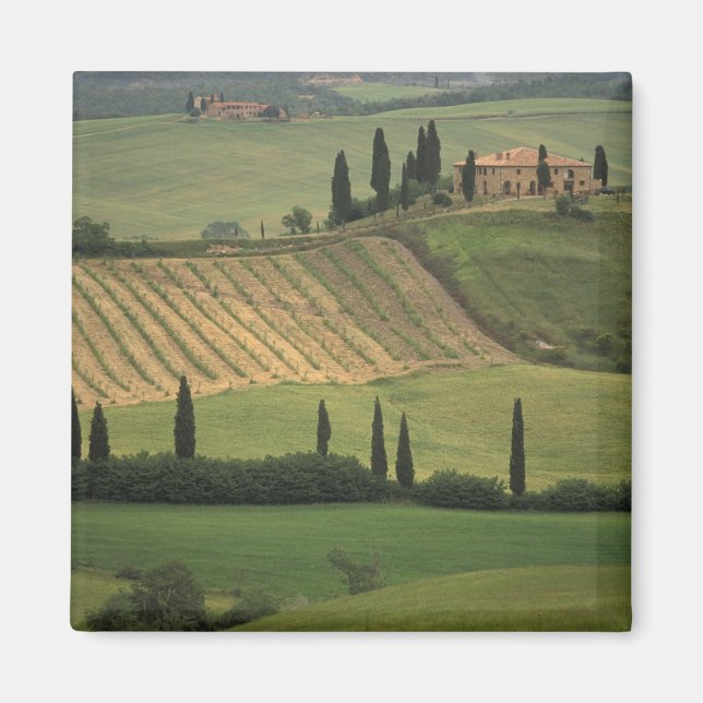 Imán Europa, Italia, Toscana, Val d'Orcia, Toscana (Frente)