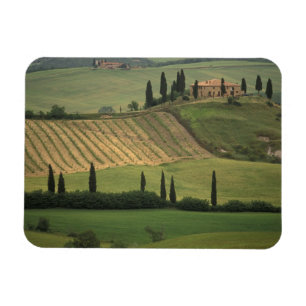 Imán Europa, Italia, Toscana, Val d'Orcia, Toscano