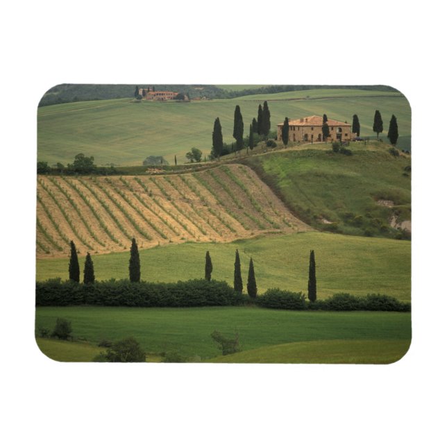 Imán Europa, Italia, Toscana, Val d'Orcia, Toscano (Horizontal)