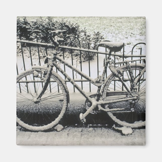 Imán Europa, Países Bajos, Amsterdam. El (Frente)