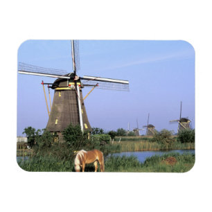 Imán Europa, Países Bajos, Zuid Holland, Kinderdijk.2