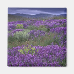 Imán Europa, Turquía, Capadocia. Paisaje rural 2