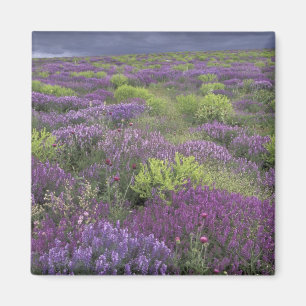 Imán Europa, Turquía, Capadocia. Paisaje rural 3