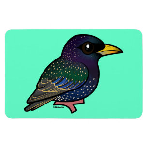 Imán Europeo Starling de Birdorable