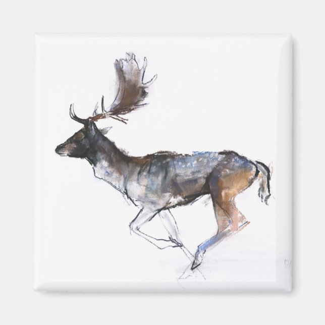 Imán Evening Buck (Frente)