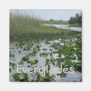 Imán Everglades