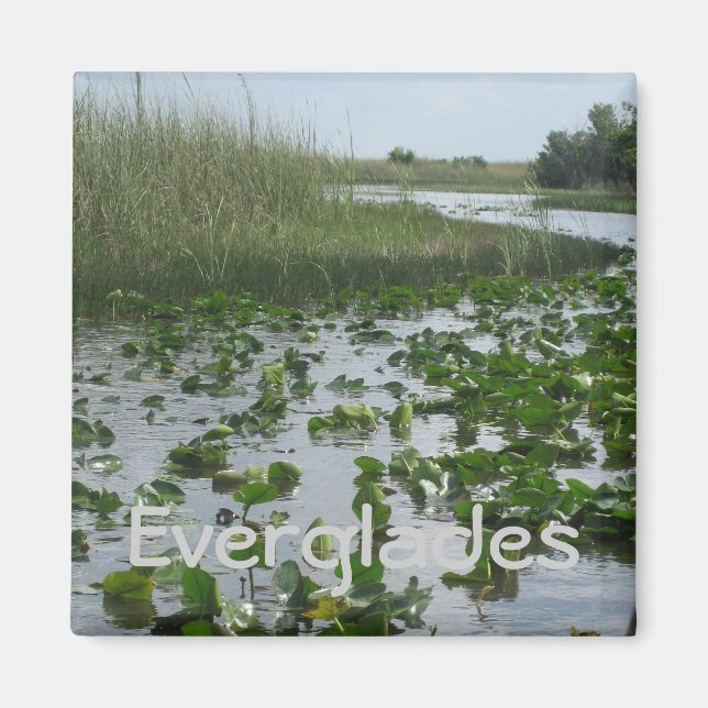 Imán Everglades (Frente)