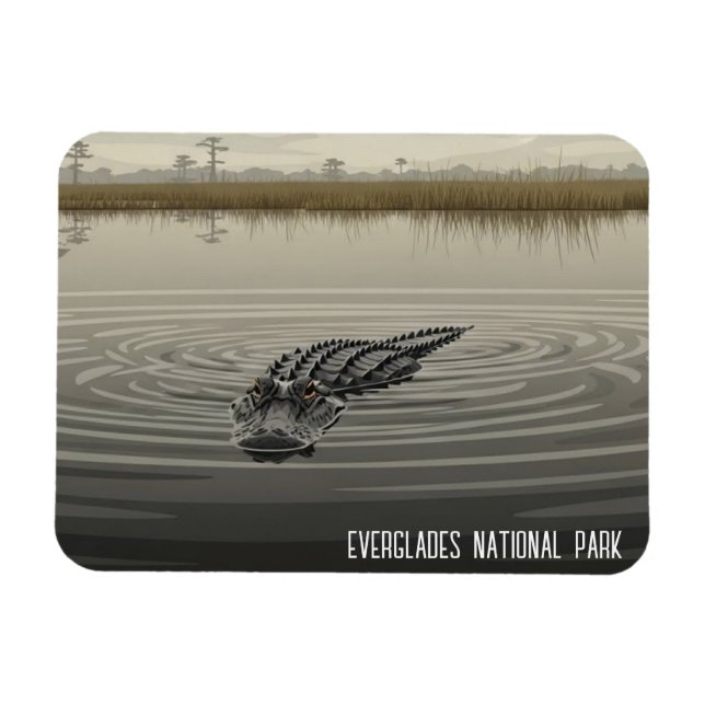 Imán Everglades Florida Alligator Travel (Horizontal)
