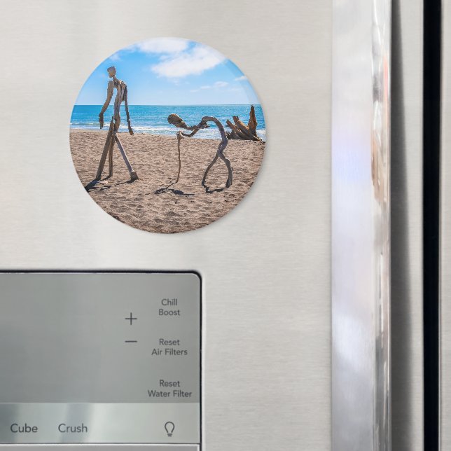 Imán Evolución (In situ (nevera))