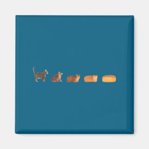 Imán Evolución de pan de hogaza de gato divertida mamá