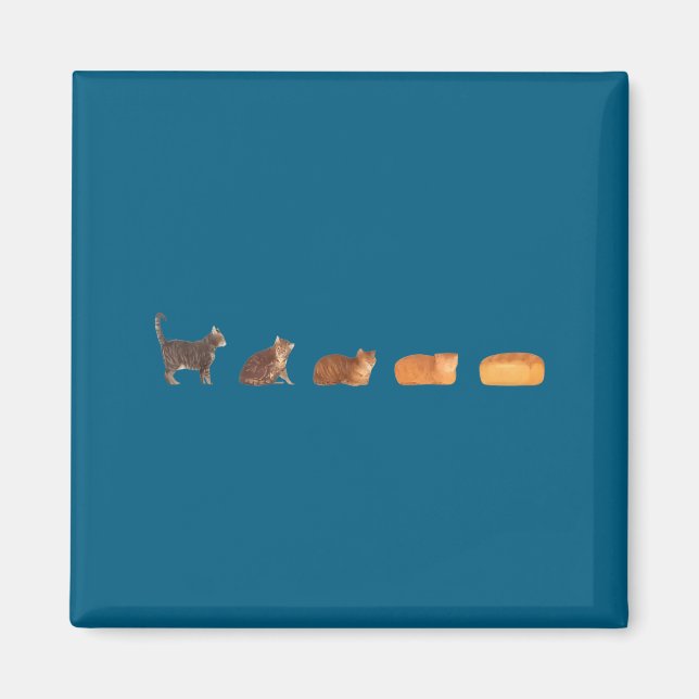 Imán Evolución de pan de hogaza de gato divertida mamá  (Frente)