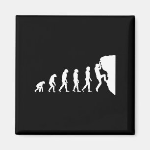 Imán Evolución del escalamiento