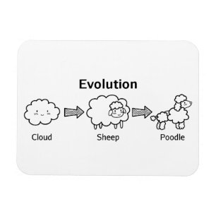 Imán Evolución divertida de la nube en oveja y caniche
