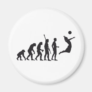 Imán evolution volleyball