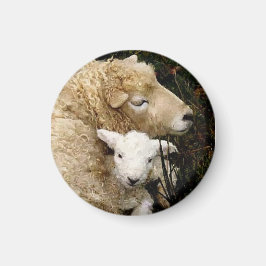Imán Ewe y Lamb Magnet