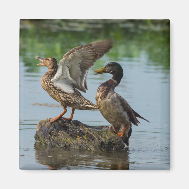 Imán Excuse Me (Frente)