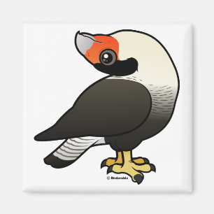 Imán Exhibición del Caracara