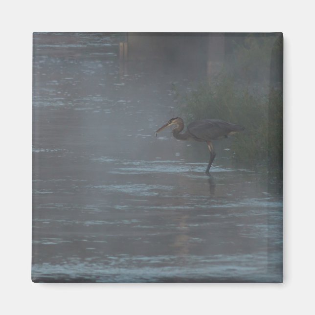 Imán Éxito de pesca (Frente)