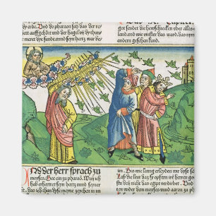 Imán Éxodo 10:1-20 Las siete plagas de Egipto: el plan