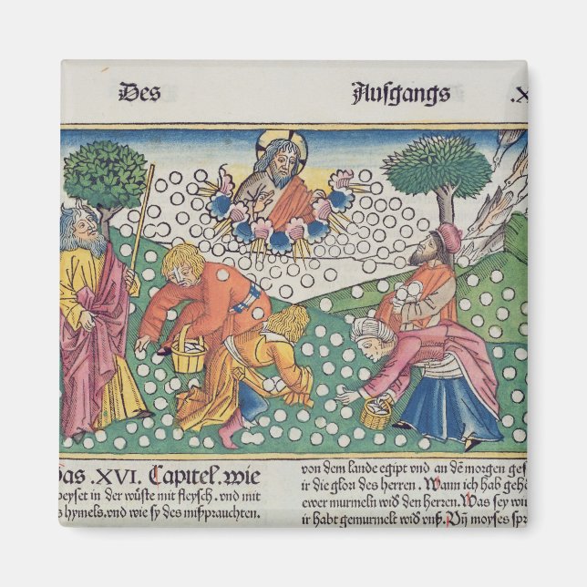 Imán Éxodo 16 13-22 Dios provee codorniz y maná al (Frente)