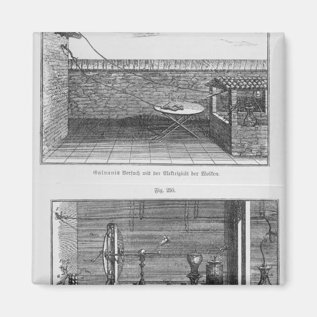 Imán Experimento sobre ranas de Louis Galvani (Frente)