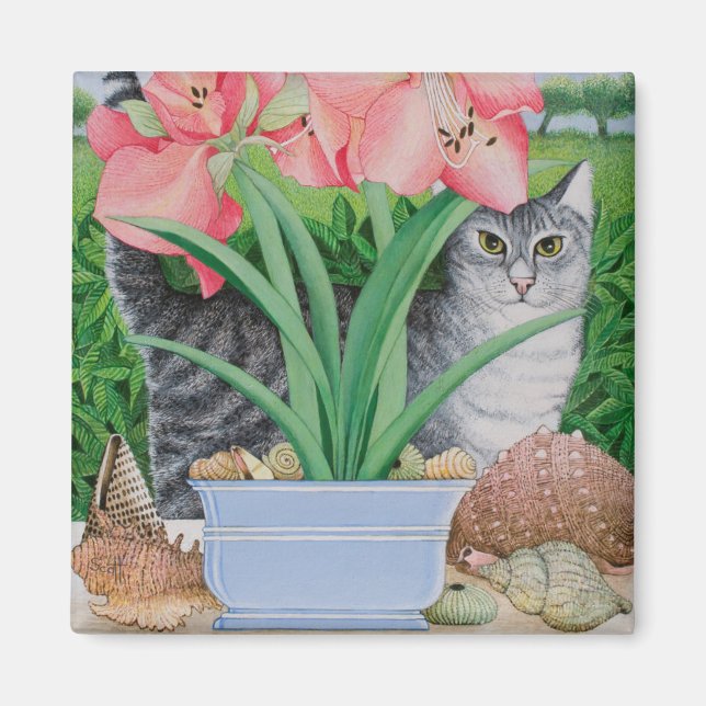 Imán Explorando las posibilidades 2011 (Frente)