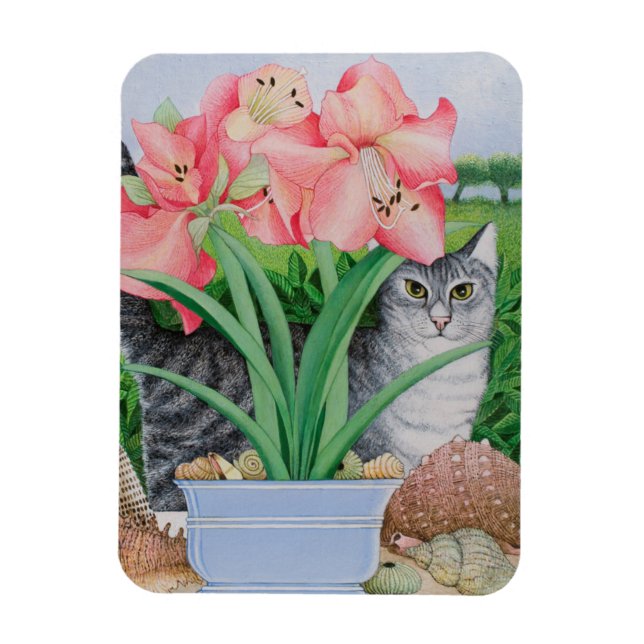 Imán Explorando las posibilidades 2011 (Vertical)