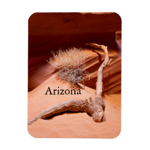 Imán Explore Arizona
