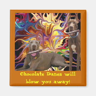 Imán Explosión de dane de chocolate