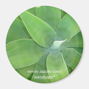 Imán Explosión del verde