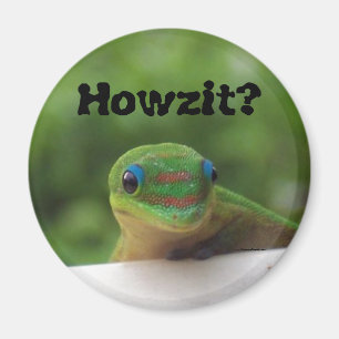 Imán Expresiones Howzit del argot