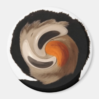 Imán Extraño Arquero