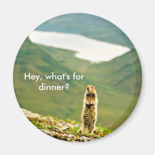 Imán ¿Ey, cuál está para la cena?