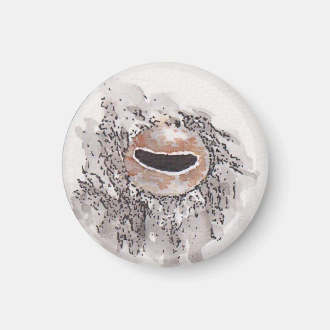 Imán Eye of the octopus – Gaze Collection (Frente)