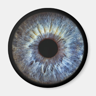 Imán Eyepic Blue Iris Magnet