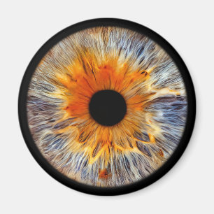 Imán Eyepic Iris Magnet
