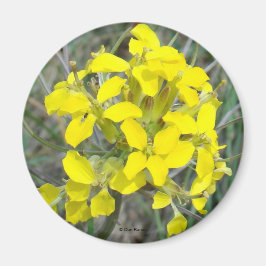 Imán F14 Flores silvestres amarillas