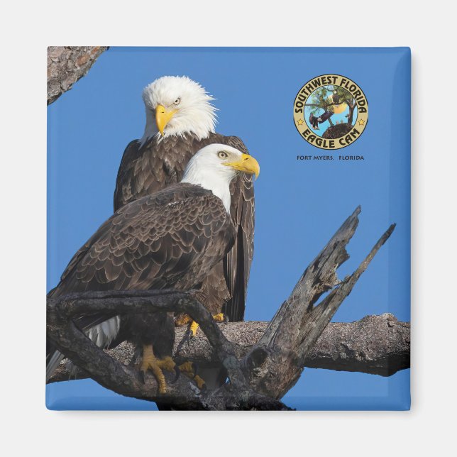 Imán F23 y M15 - Una nueva era en el nido (Frente)