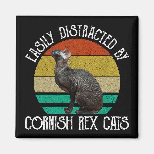 Imán Fácilmente Distraído Por Gatos Cornish Rex (Frente)