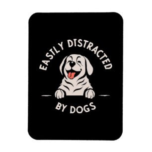 Imán Fácilmente distraído por perros