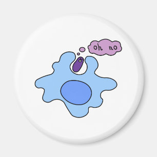 Imán Fagocitosis de las bacterias