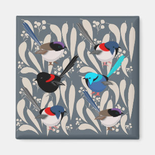 Imán Fairy Wrens