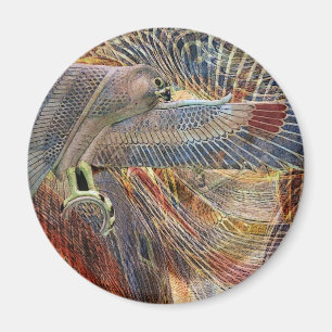 Imán Falcón egipcio