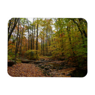 Imán Fall Creek en Laurel Hill State Park Pennsylvania