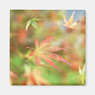 Imán Fall Filigree Magnet