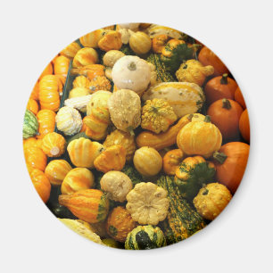 Imán Fall Gourds