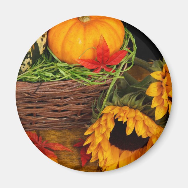 Imán Fall Harvest Sunflowers (Frente)