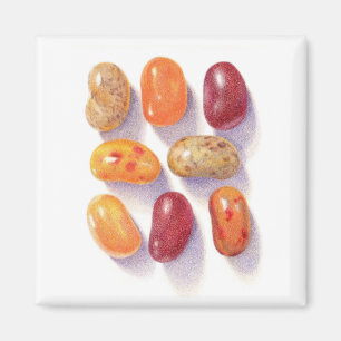 Imán FALL JELLY BEANS Square Magnet