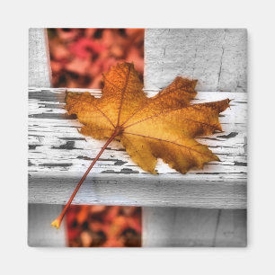 Imán Fall Leaf Magnet